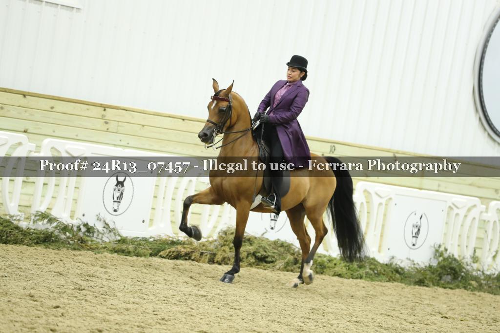 Proof 24R13_07457