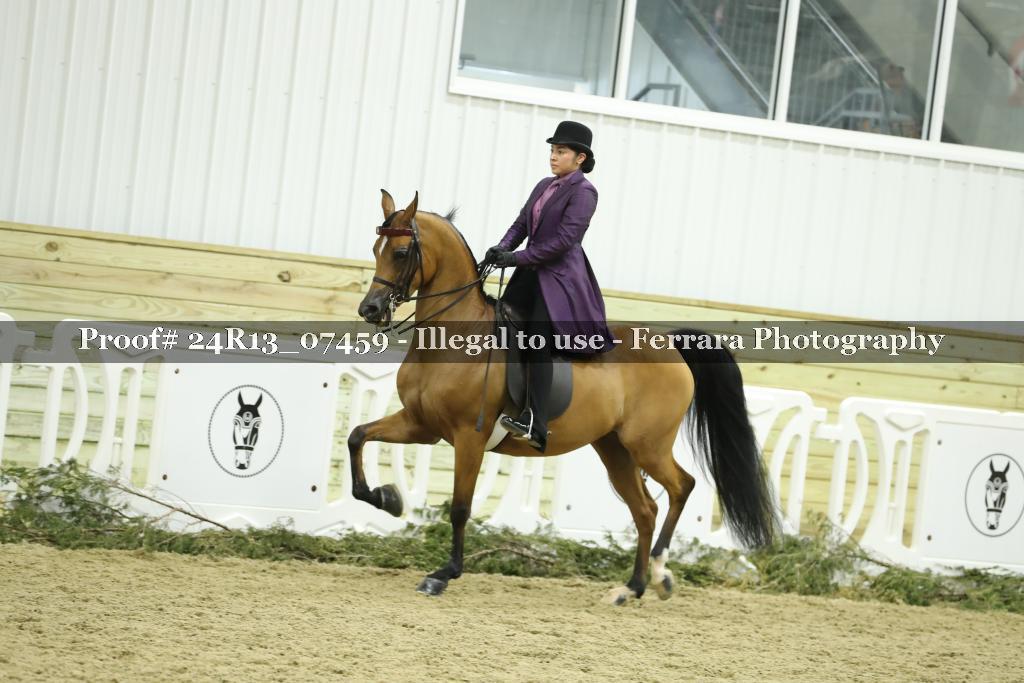 Proof 24R13_07459