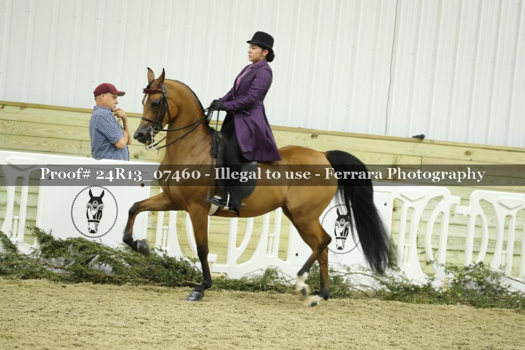 Proof 24R13_07460