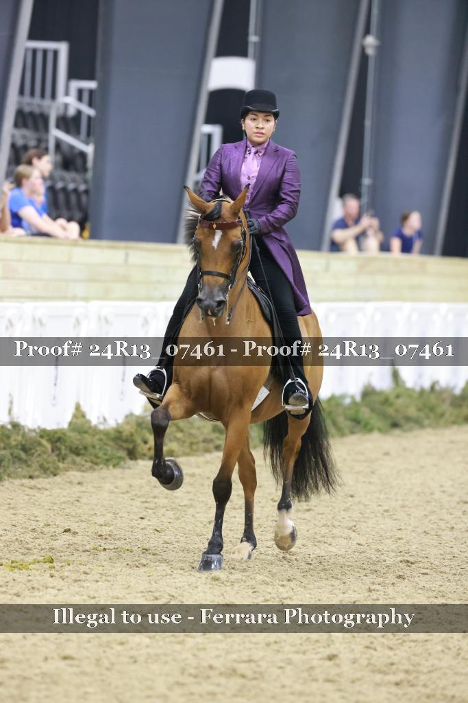 Proof 24R13_07461