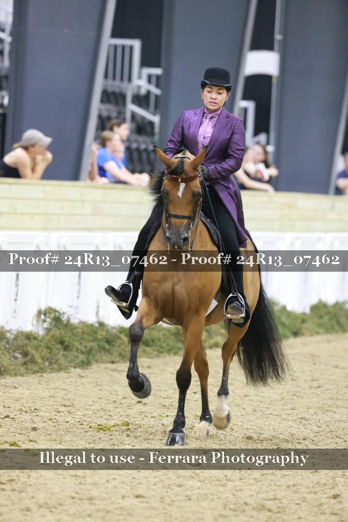 Proof 24R13_07462