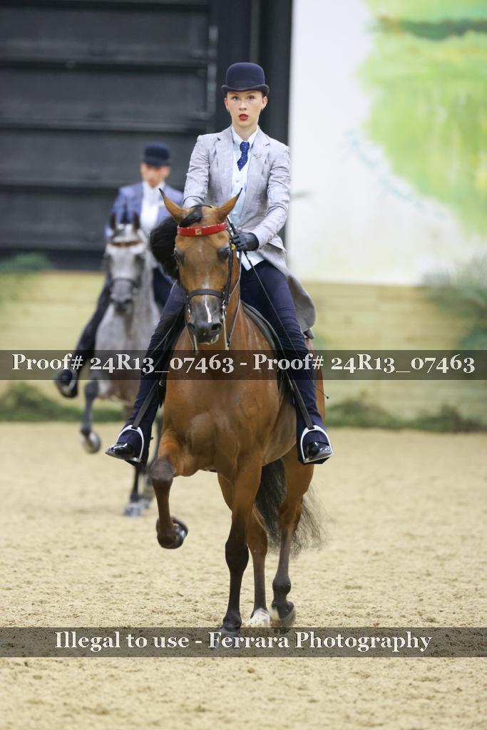 Proof 24R13_07463