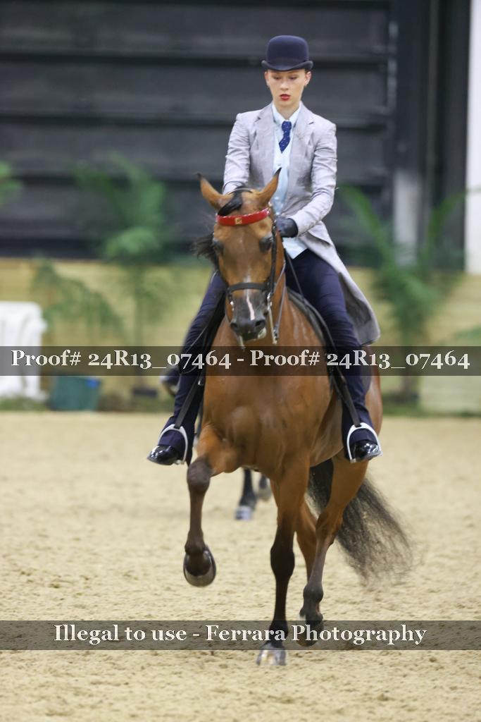 Proof 24R13_07464