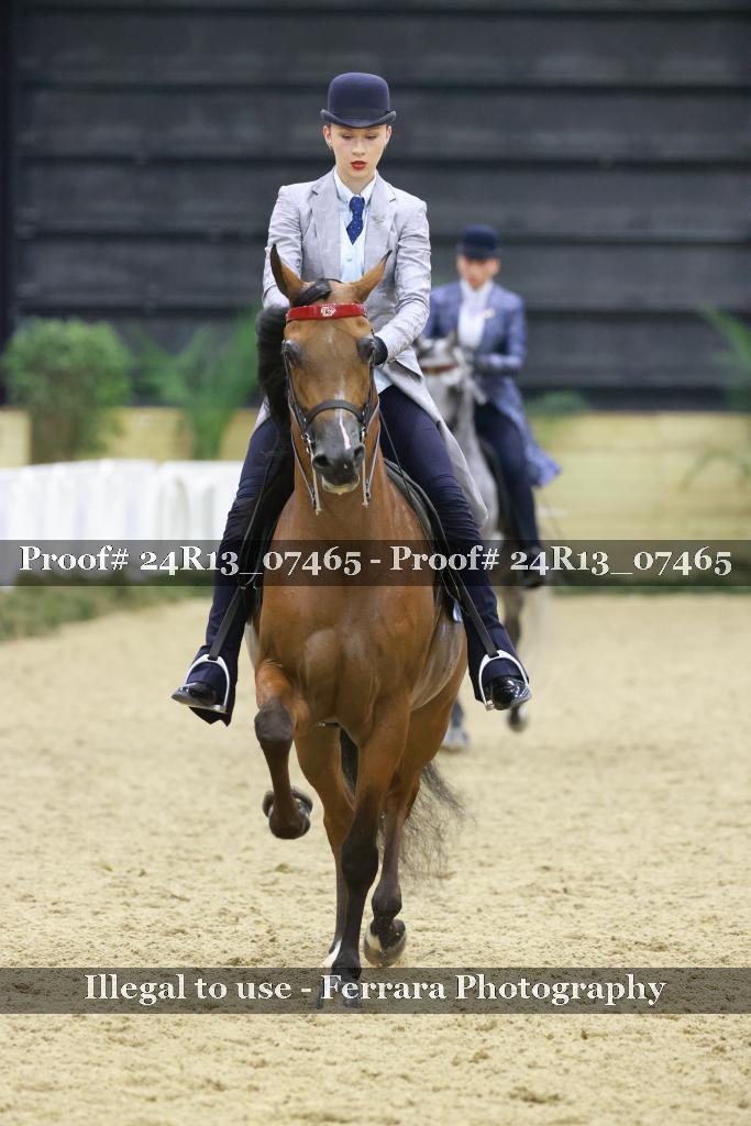 Proof 24R13_07465
