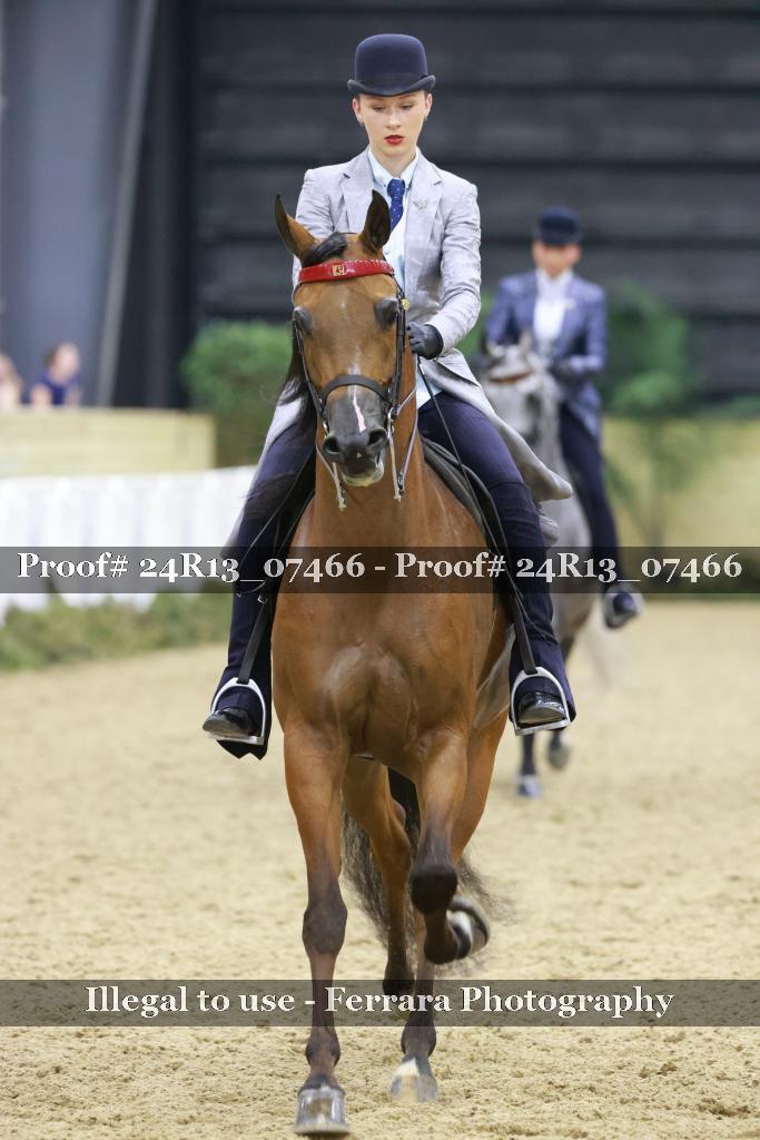 Proof 24R13_07466