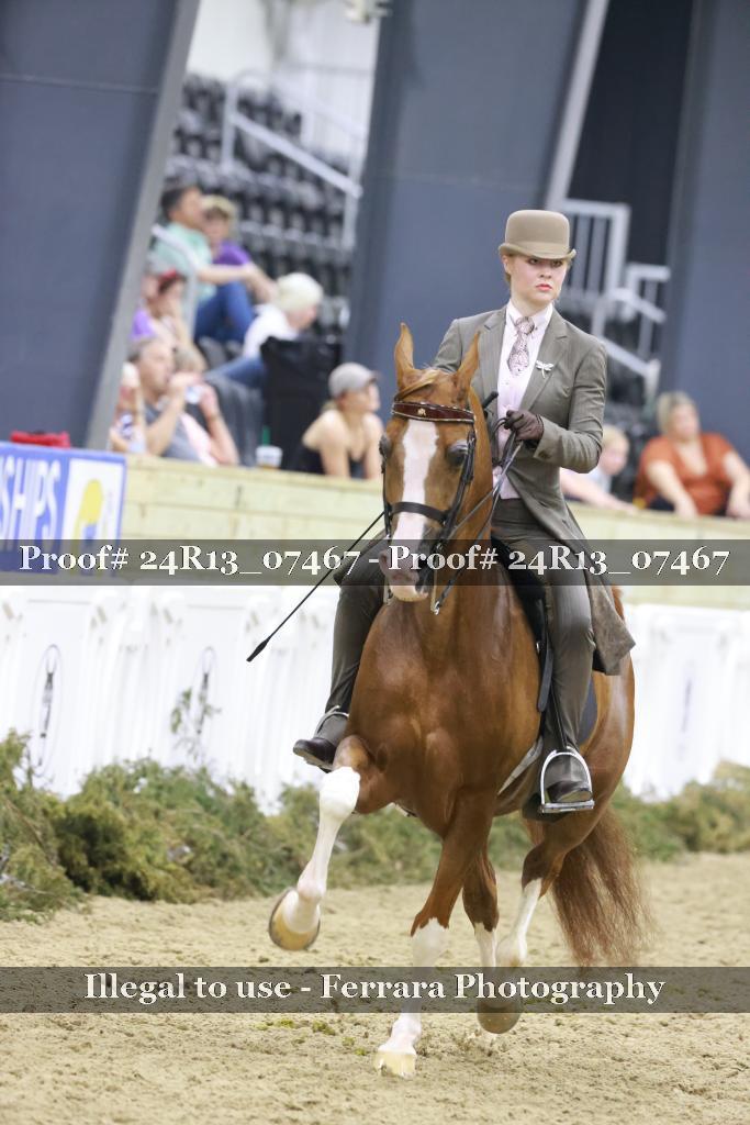 Proof 24R13_07467