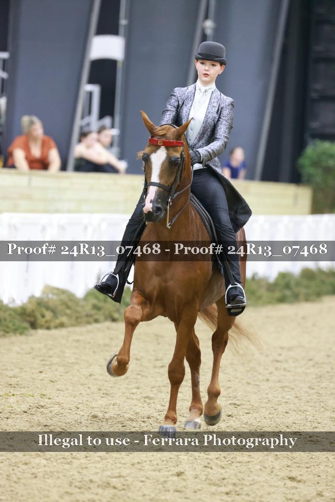 Proof 24R13_07468