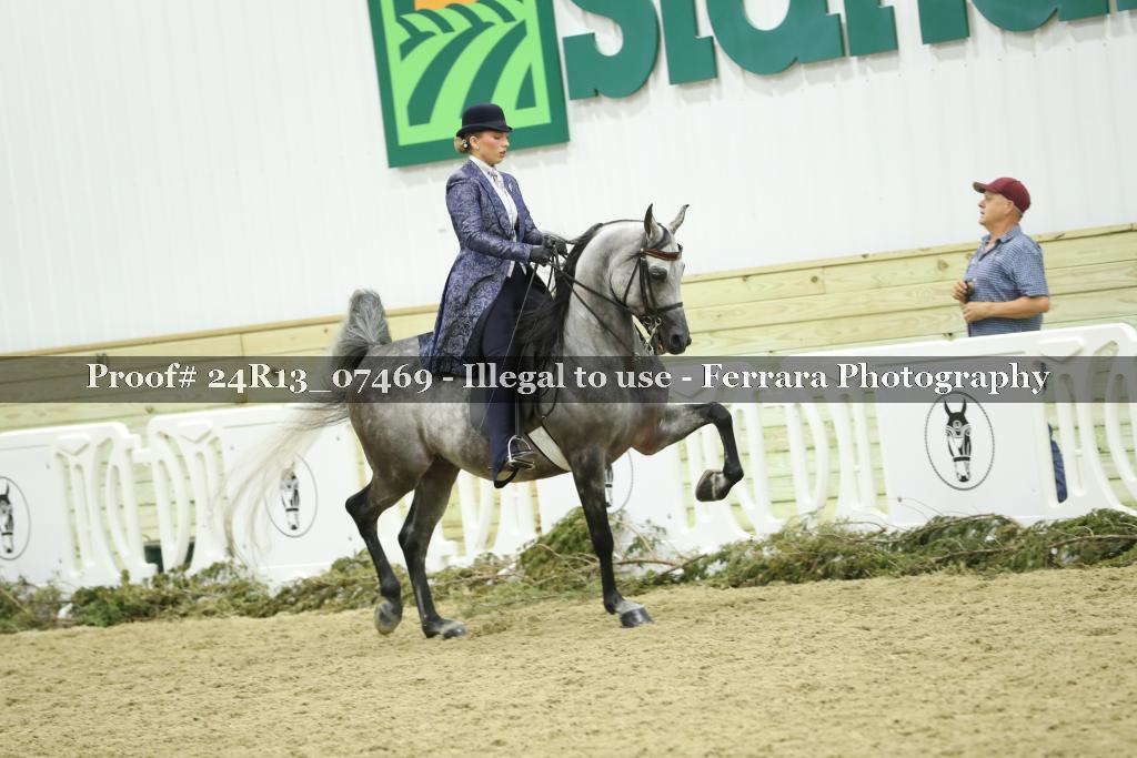 Proof 24R13_07469