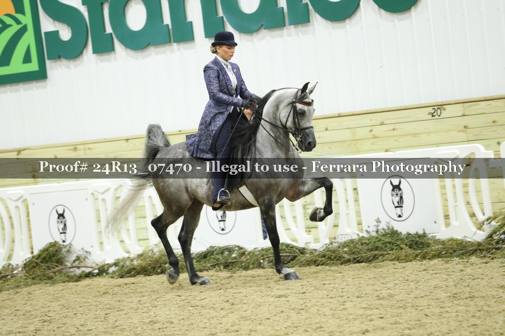 Proof 24R13_07470