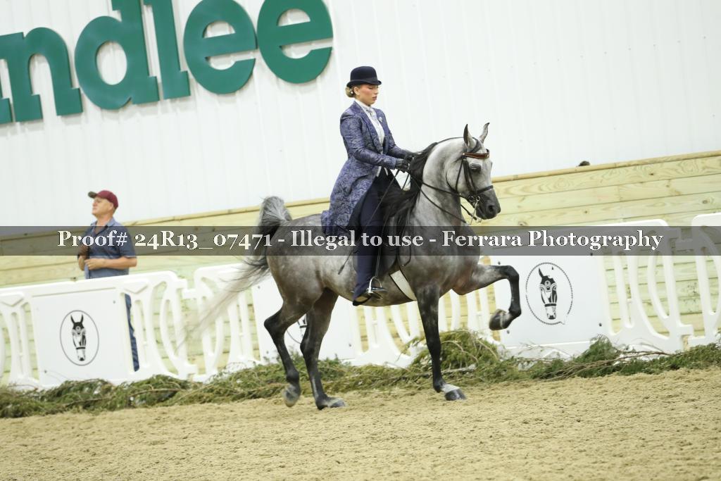 Proof 24R13_07471