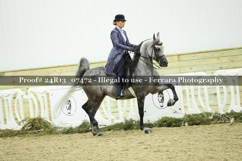 Proof 24R13_07472