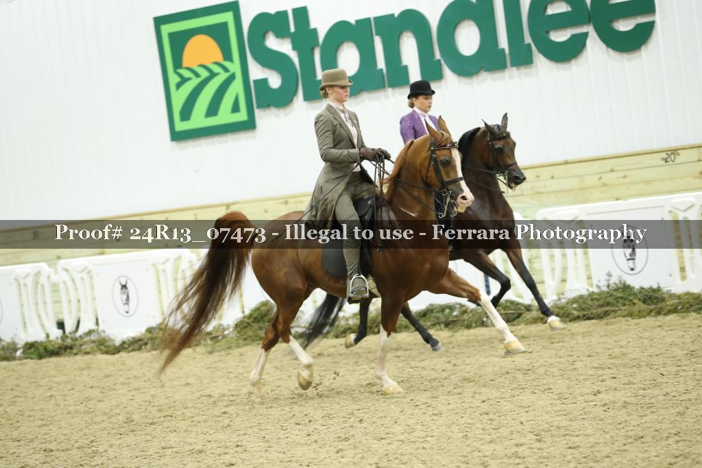 Proof 24R13_07473