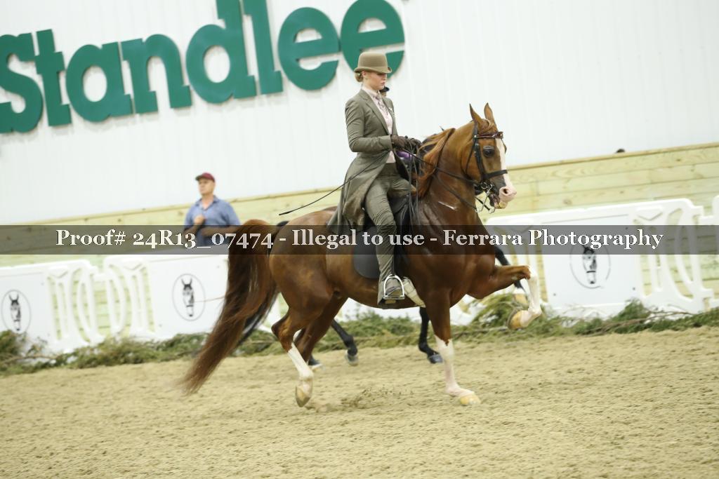 Proof 24R13_07474