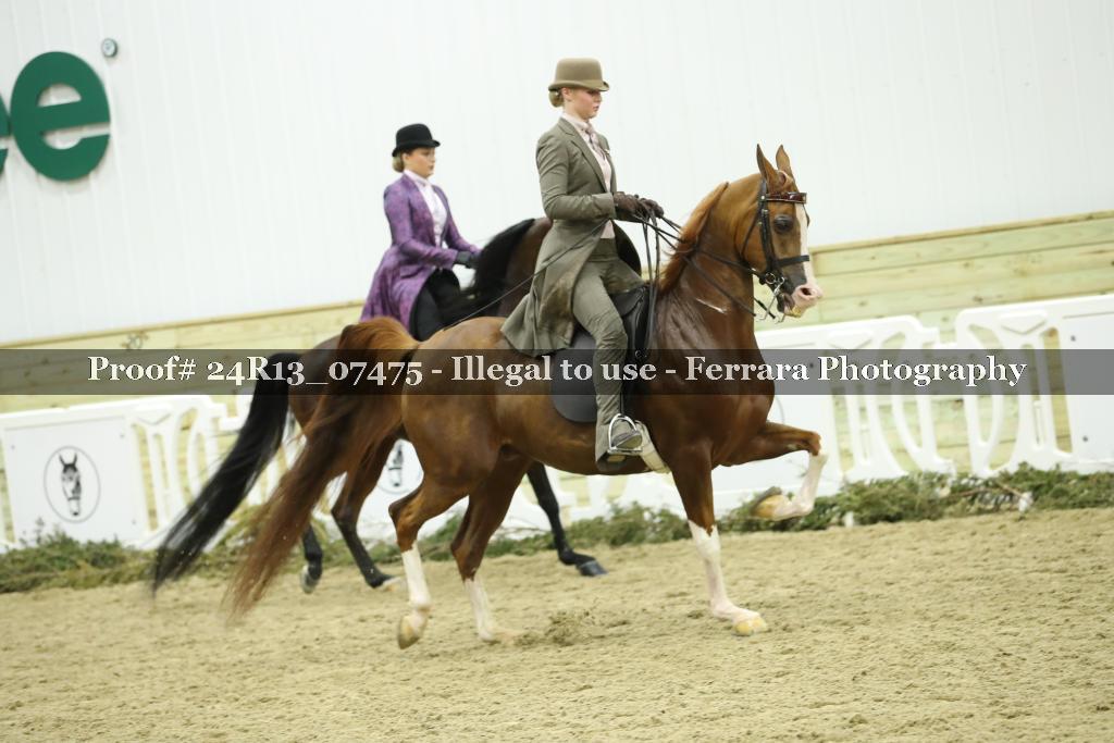 Proof 24R13_07475