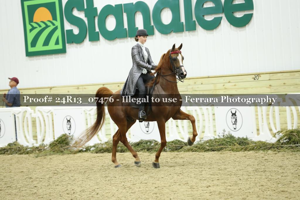 Proof 24R13_07476