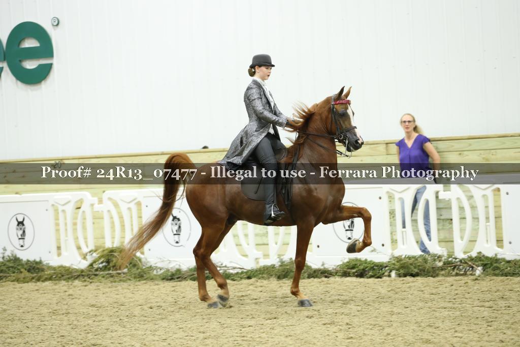 Proof 24R13_07477