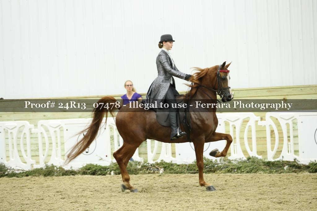 Proof 24R13_07478