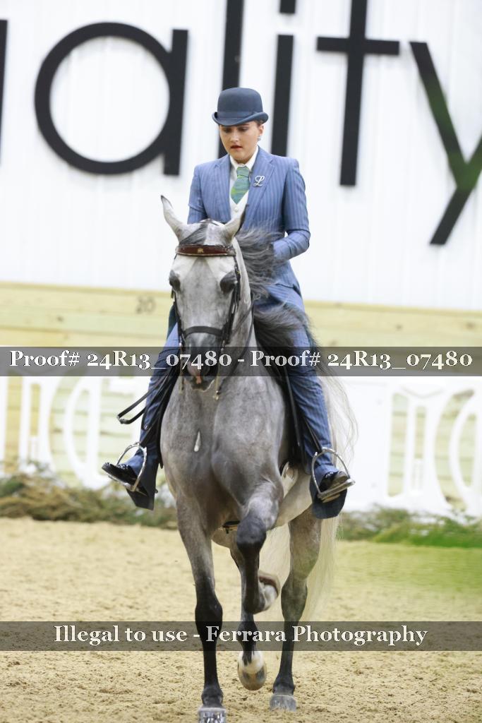 Proof 24R13_07480
