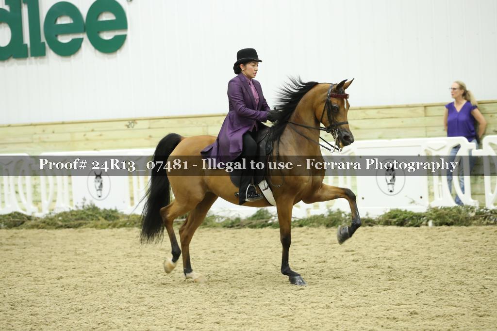 Proof 24R13_07481
