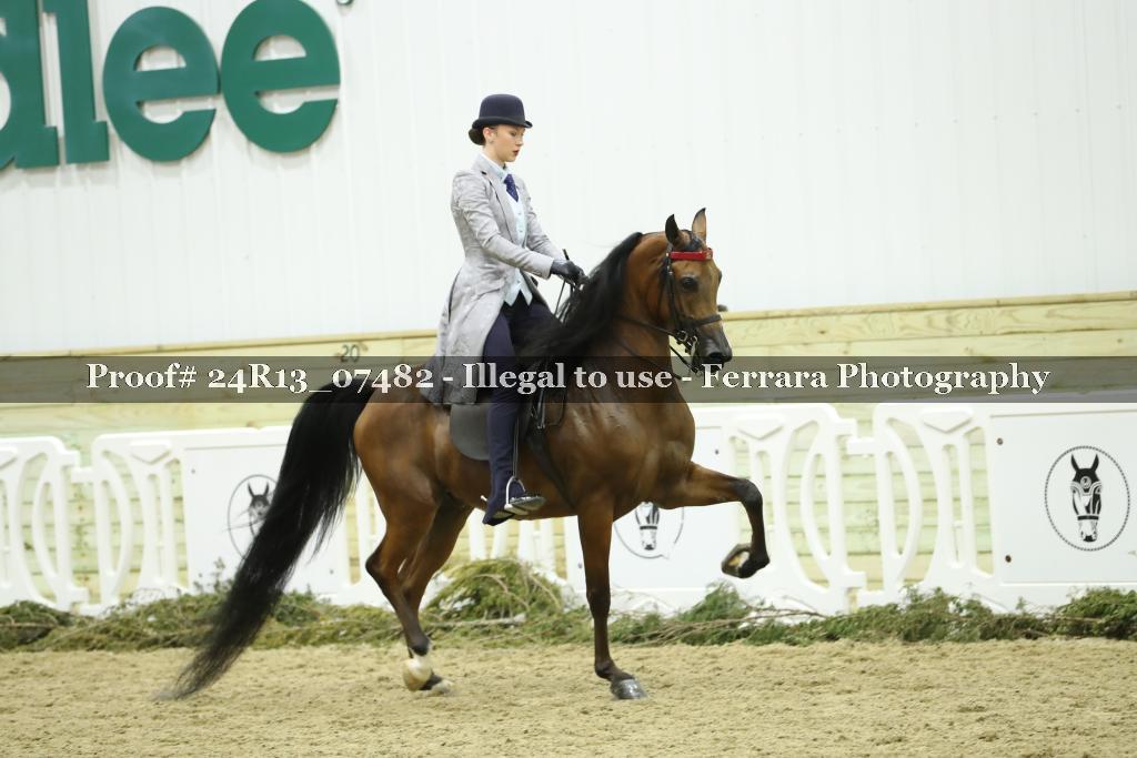Proof 24R13_07482
