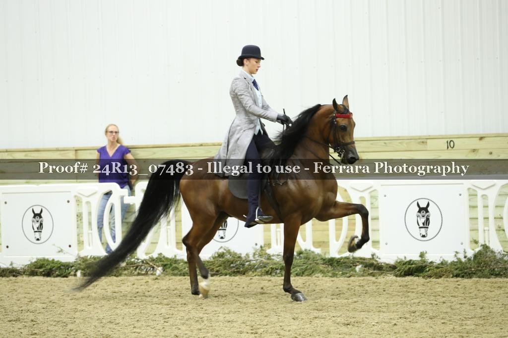 Proof 24R13_07483
