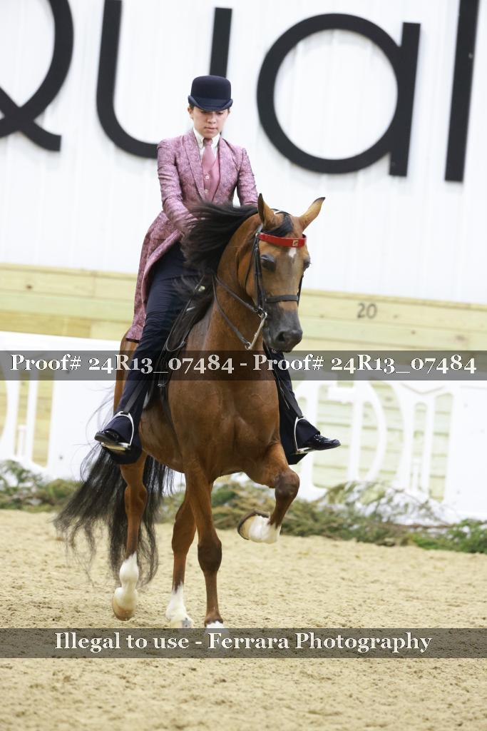 Proof 24R13_07484