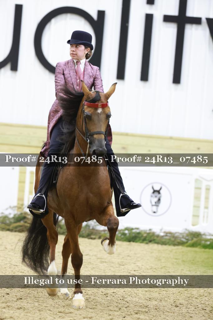 Proof 24R13_07485