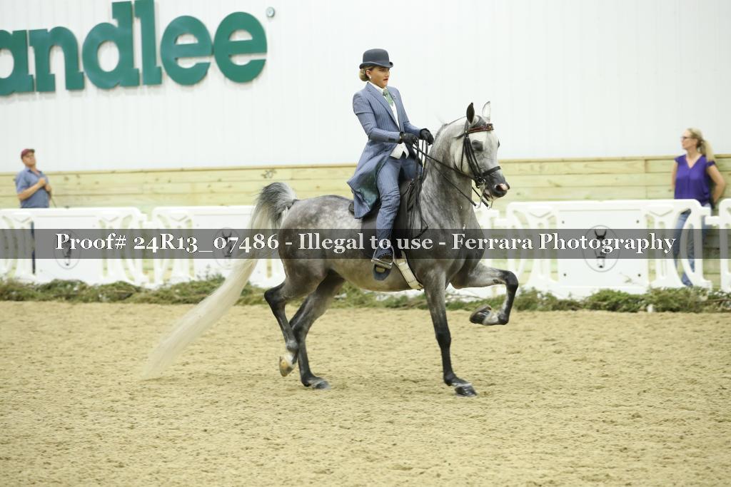 Proof 24R13_07486