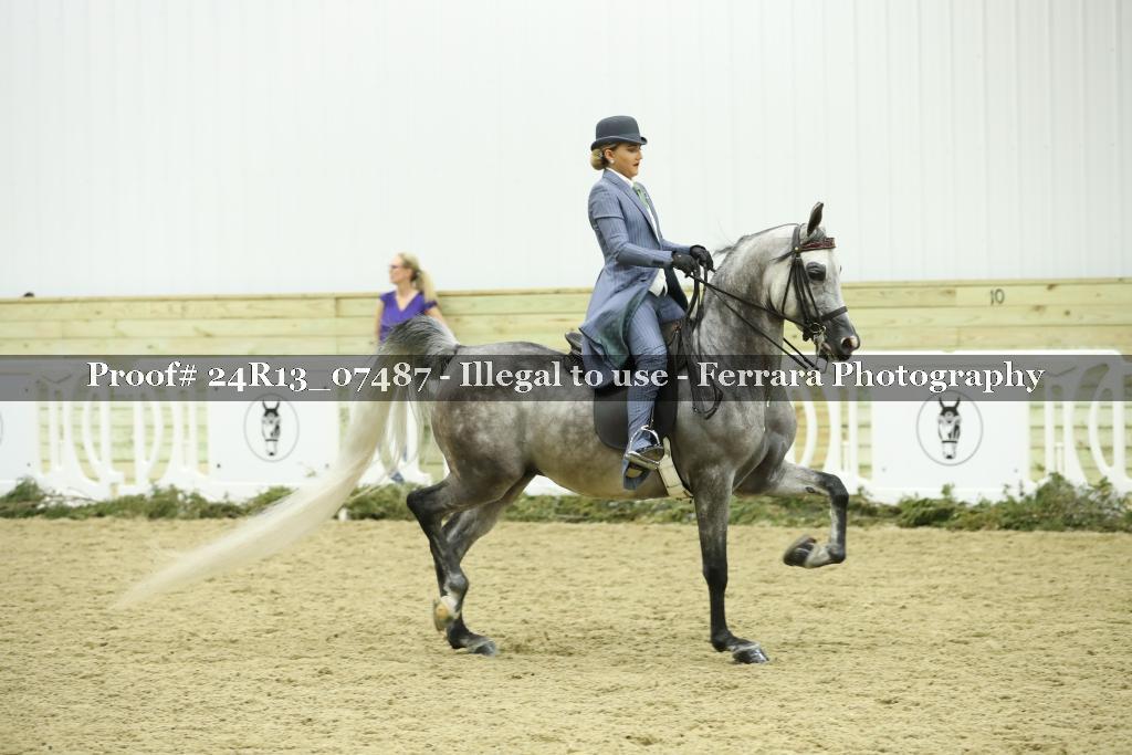 Proof 24R13_07487