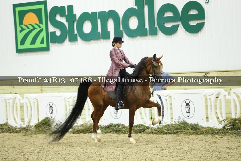 Proof 24R13_07488