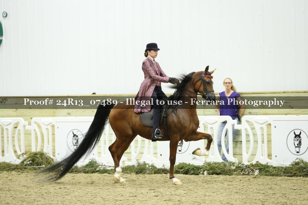 Proof 24R13_07489