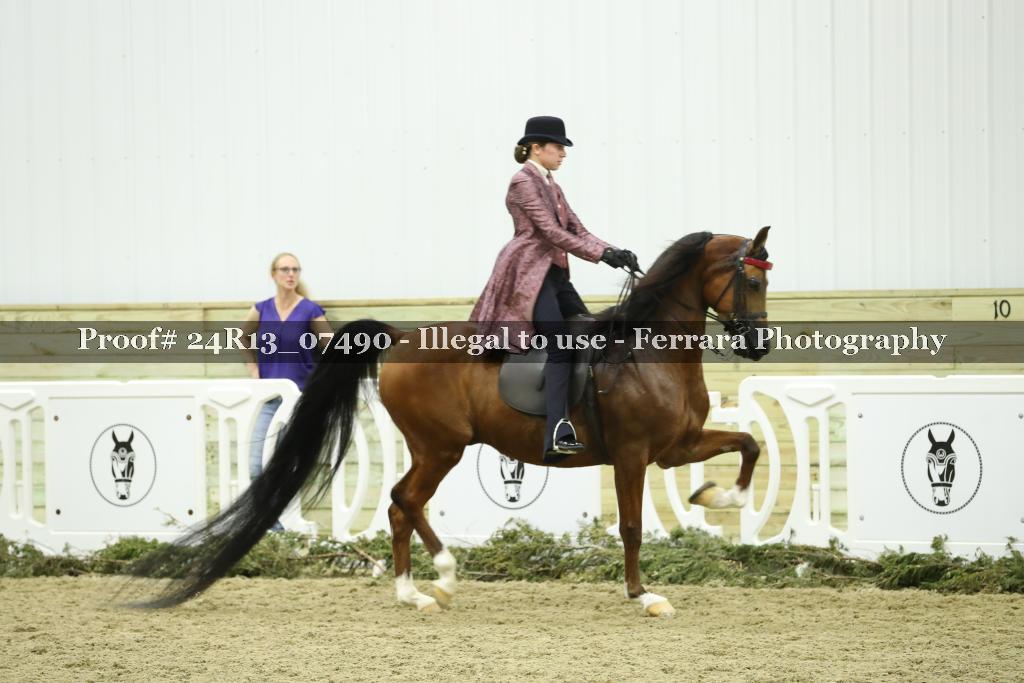 Proof 24R13_07490