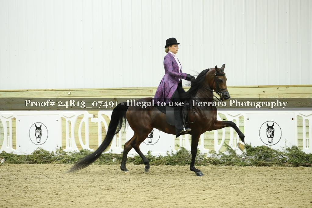 Proof 24R13_07491