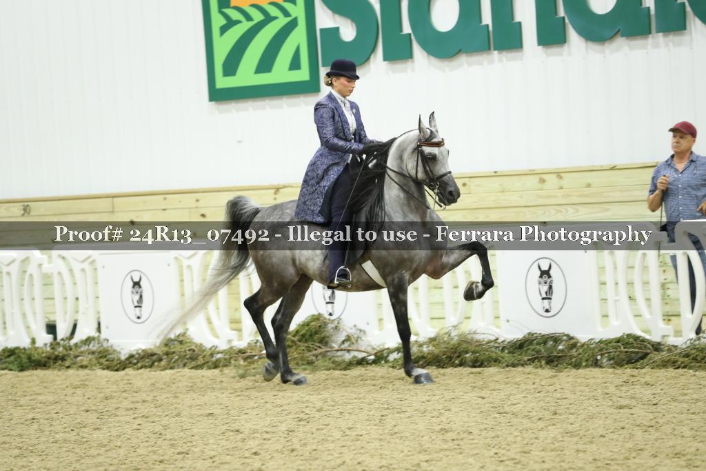 Proof 24R13_07492