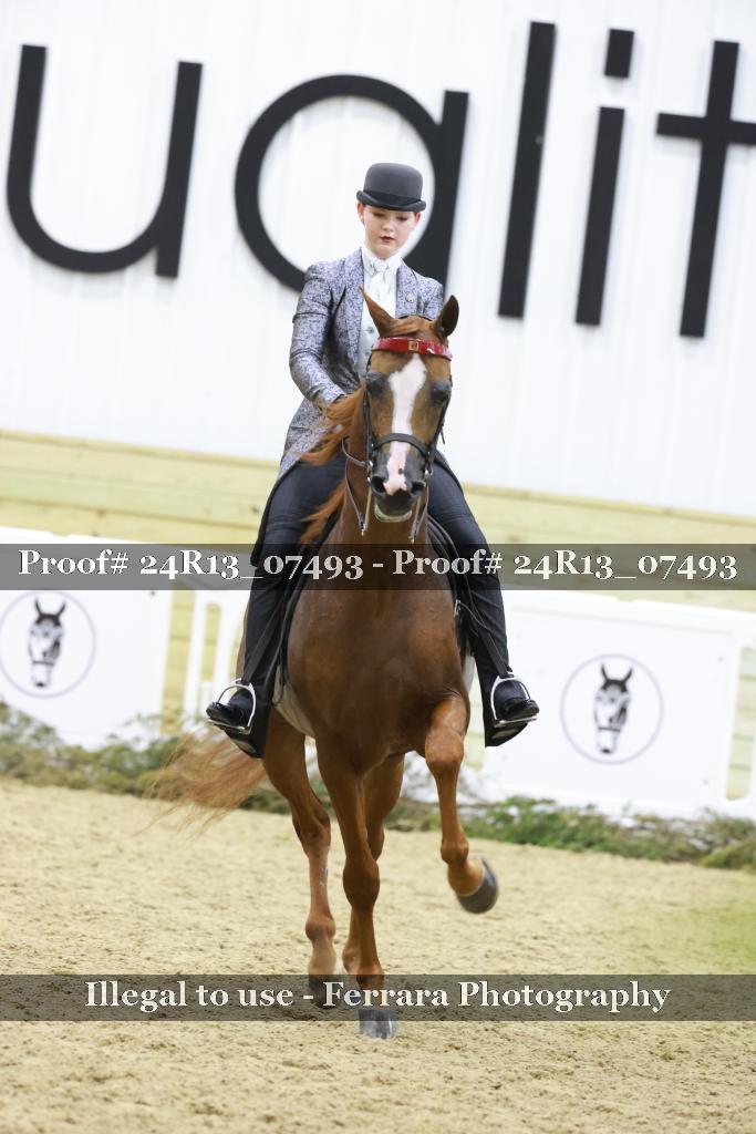Proof 24R13_07493