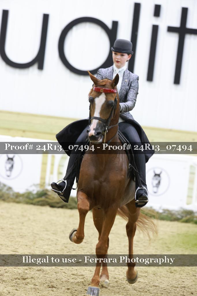 Proof 24R13_07494