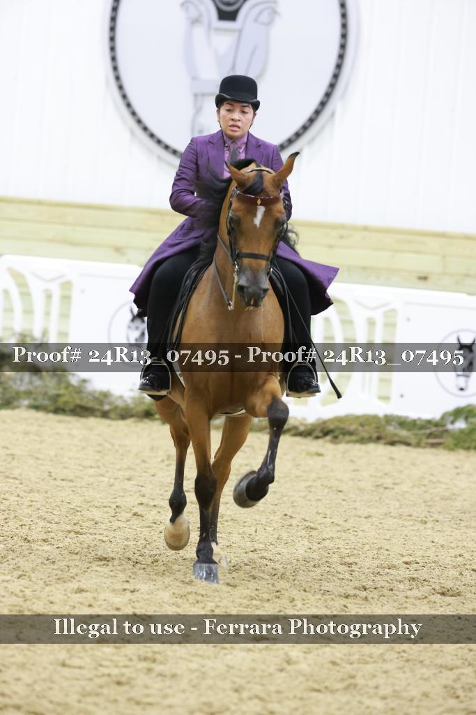 Proof 24R13_07495