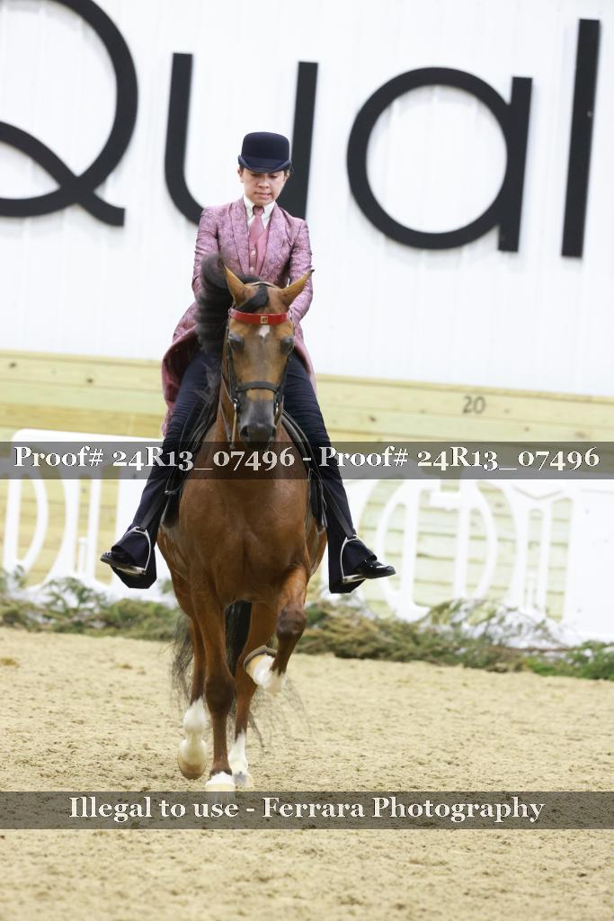 Proof 24R13_07496