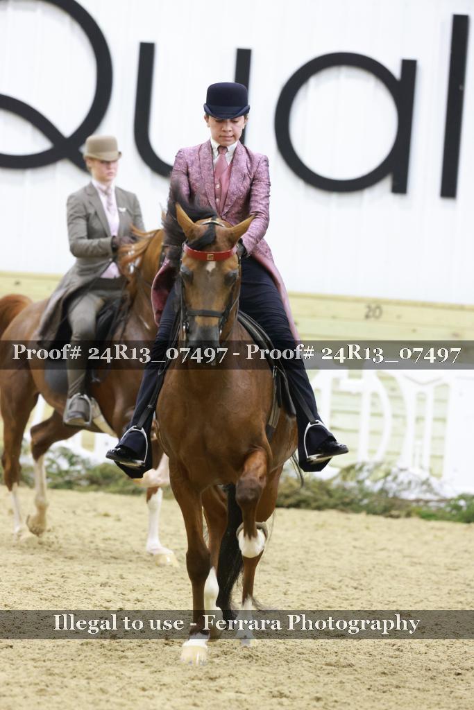 Proof 24R13_07497