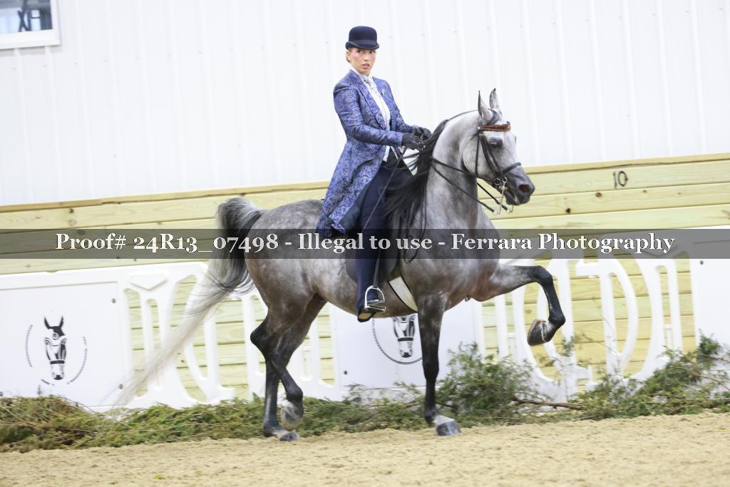 Proof 24R13_07498