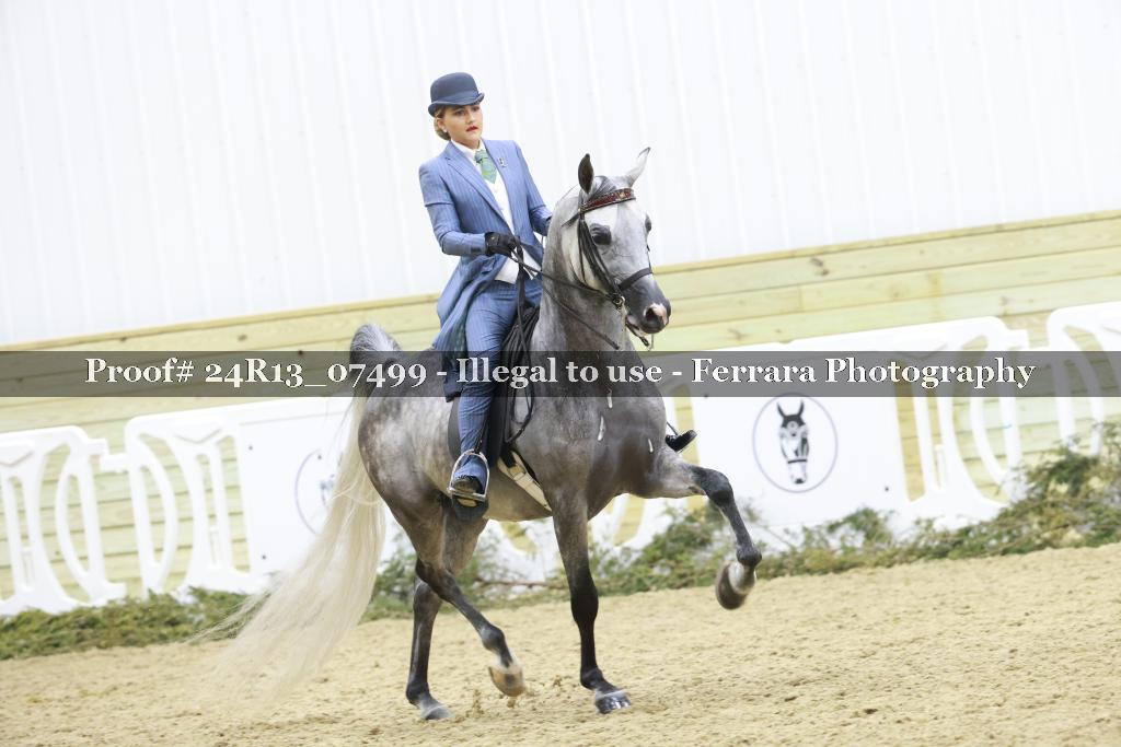 Proof 24R13_07499