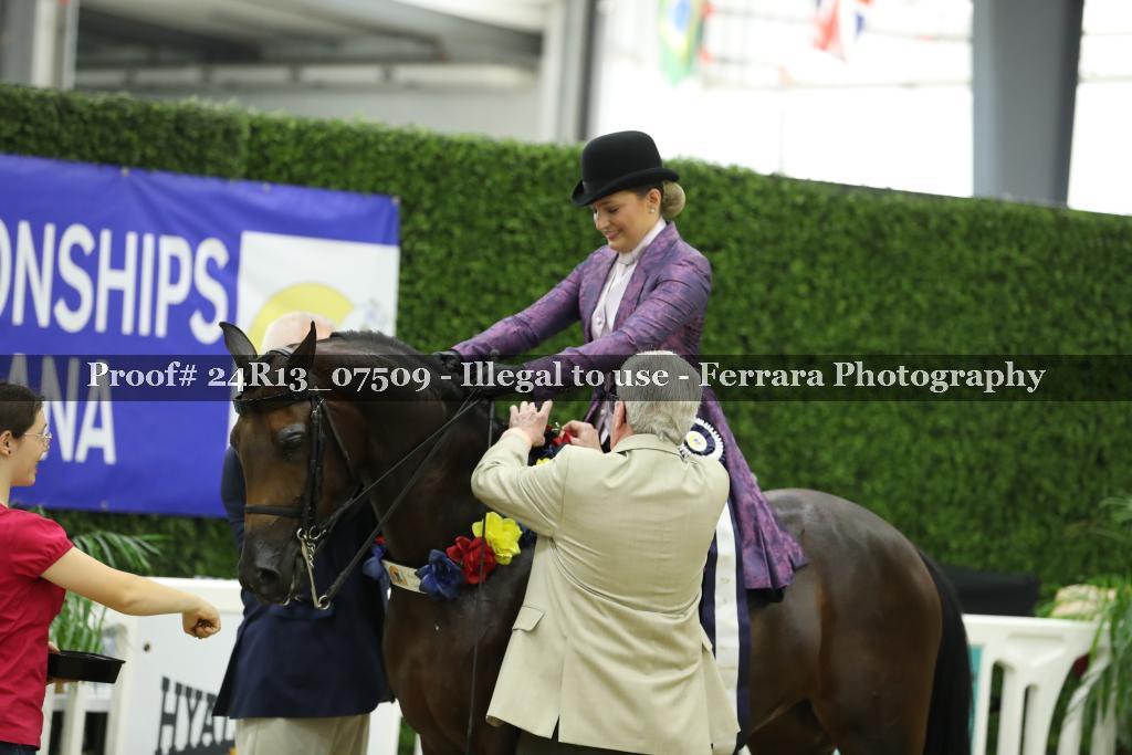 Proof 24R13_07509