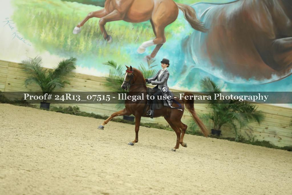 Proof 24R13_07515