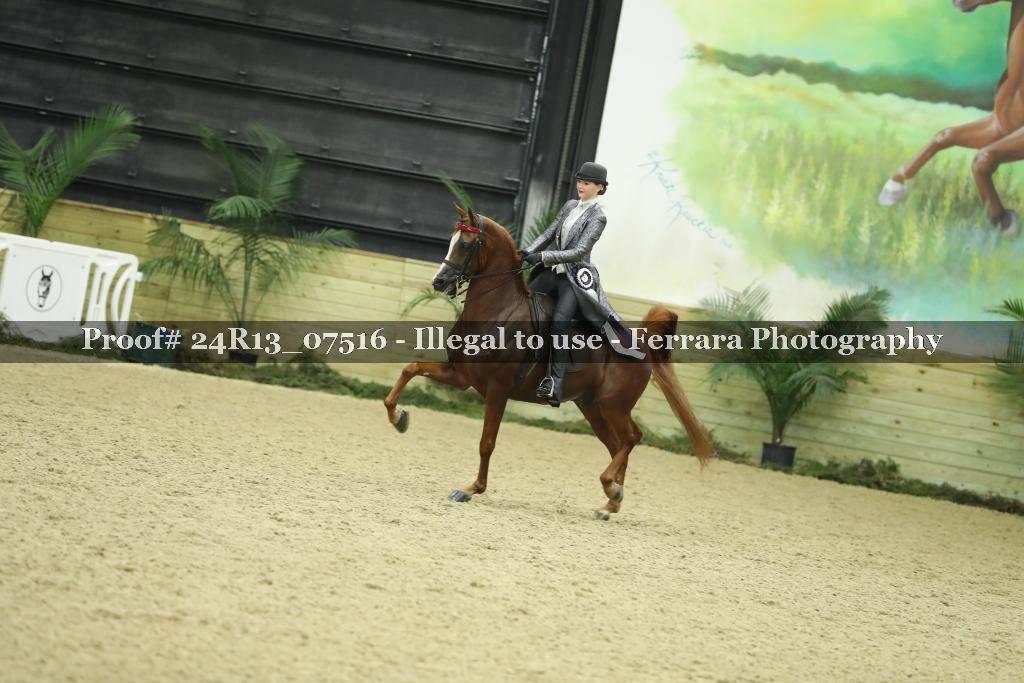 Proof 24R13_07516