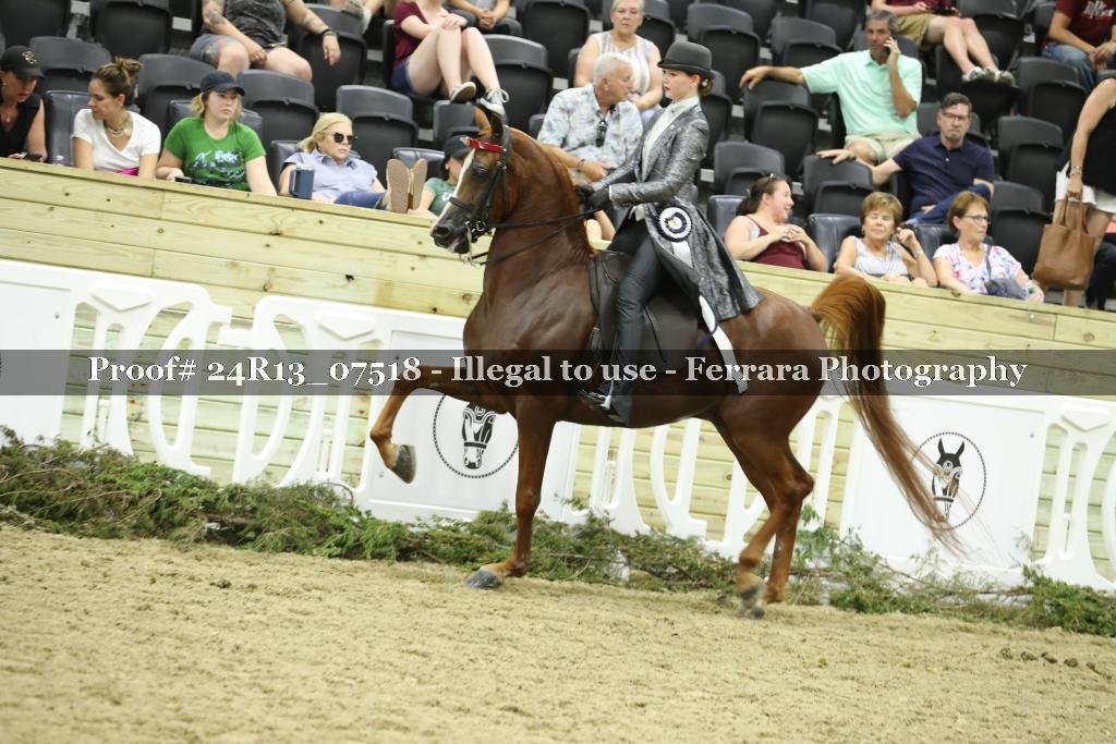Proof 24R13_07518