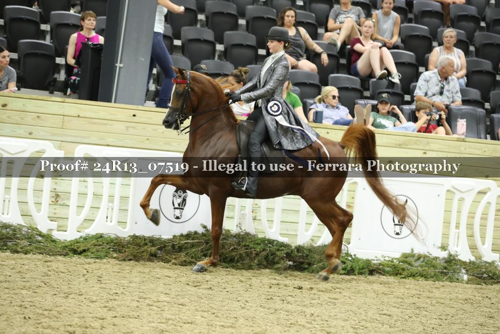 Proof 24R13_07519