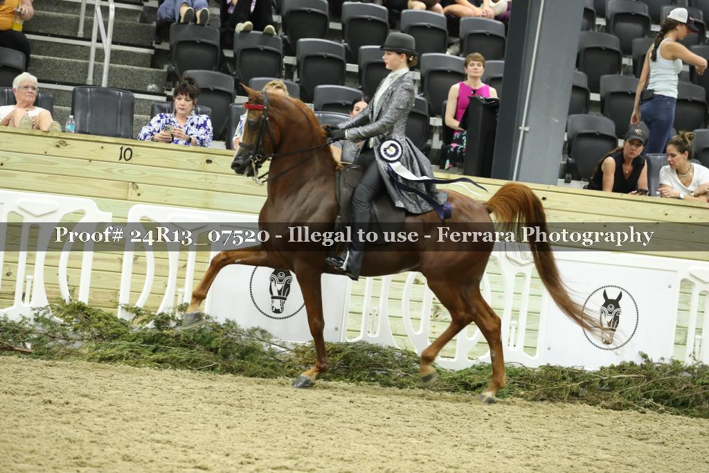 Proof 24R13_07520