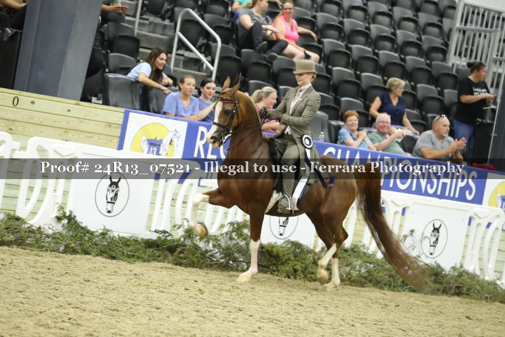Proof 24R13_07521