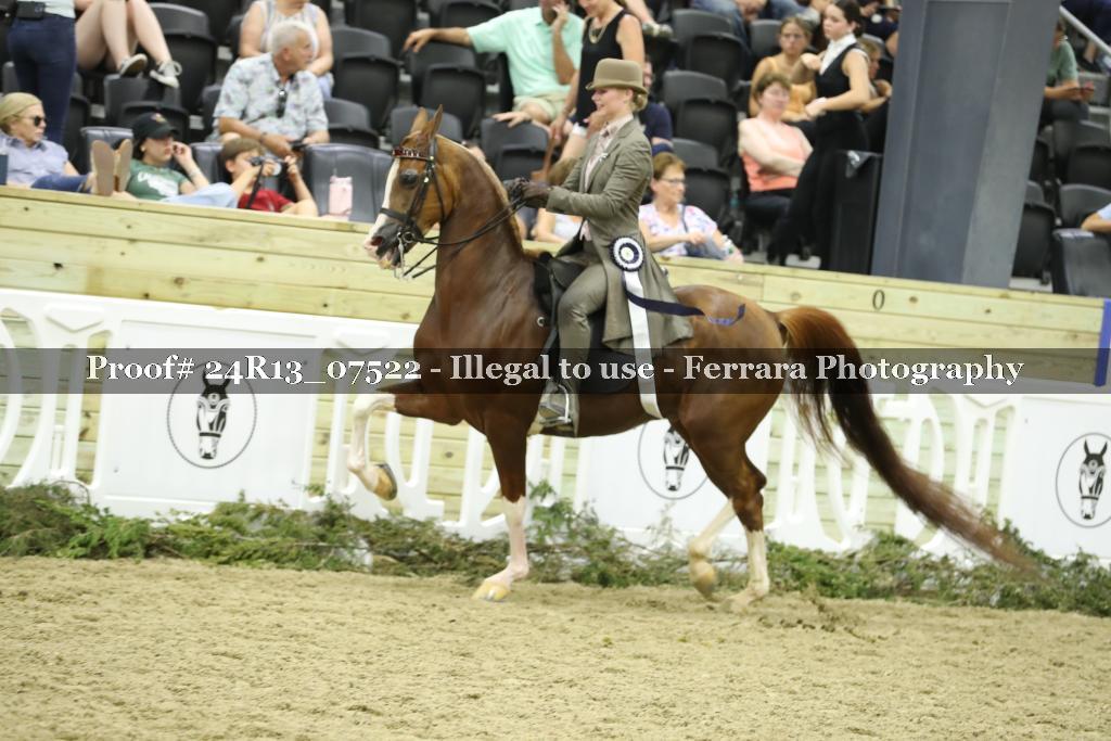 Proof 24R13_07522