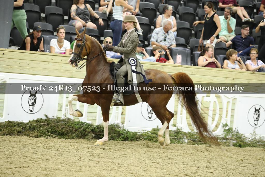 Proof 24R13_07523